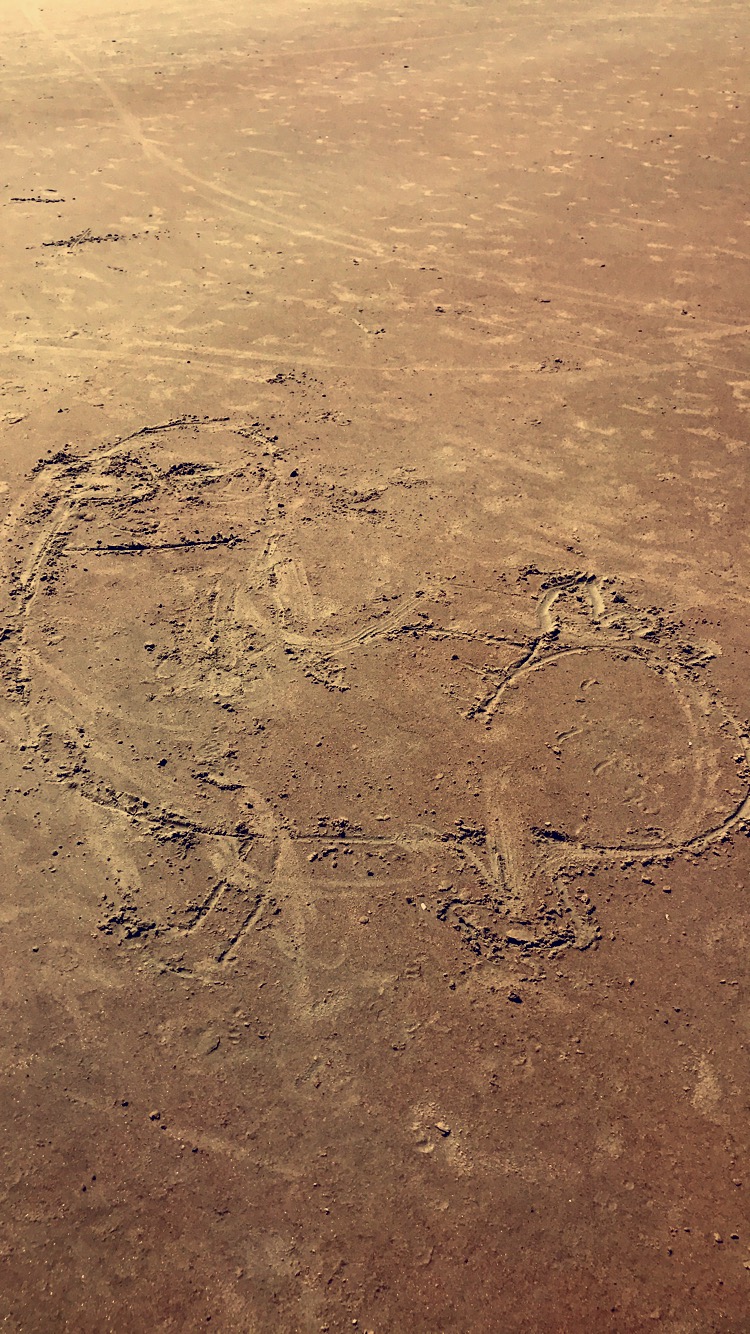 Dickbutt sand art on Daytona Beach - beach artwork masterpiece